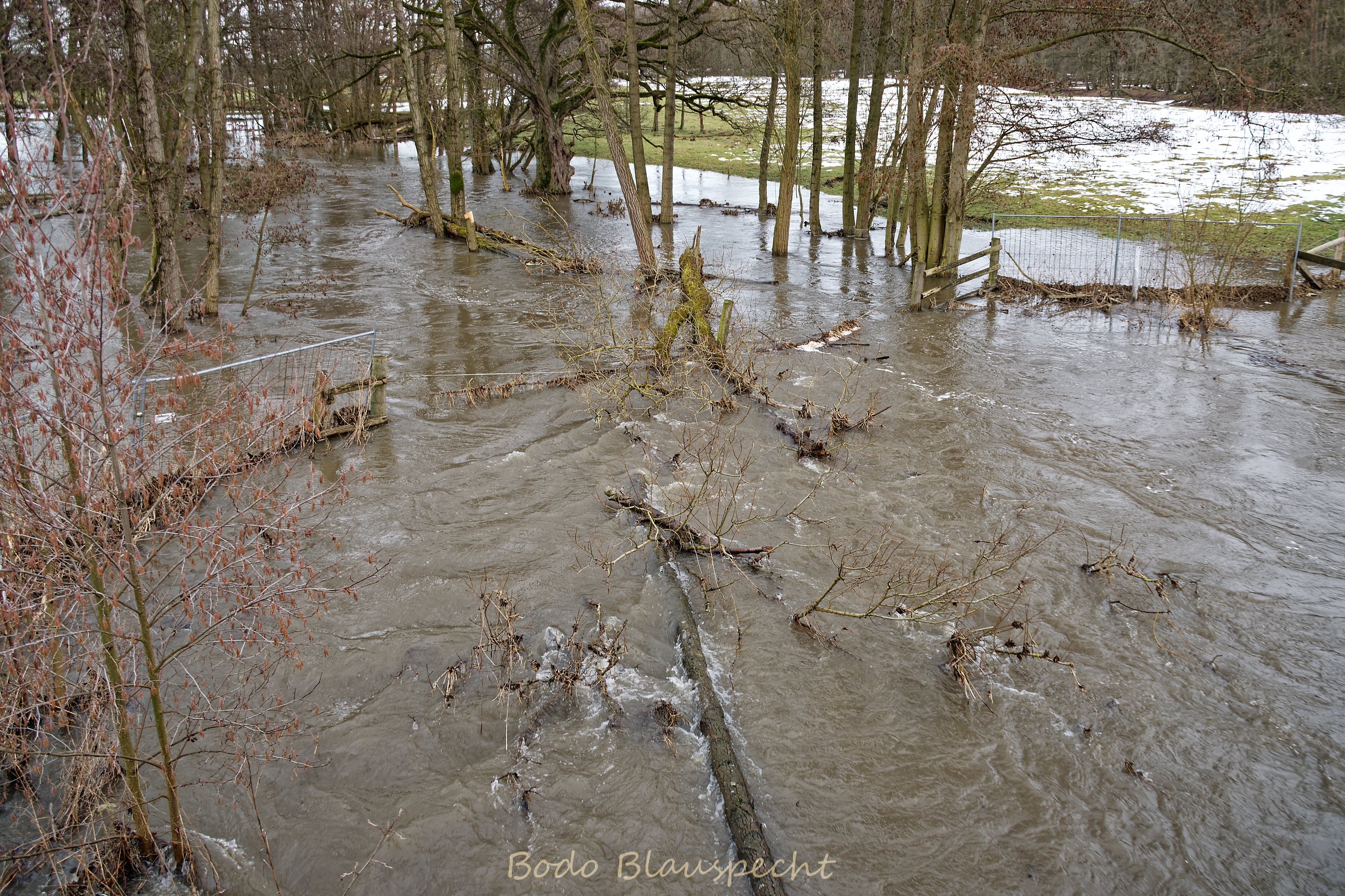 Hochwasser   Steveraue   2021.02.17 15.50 60 WEB